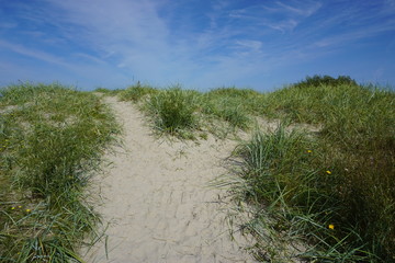 Dünenlandschaft
