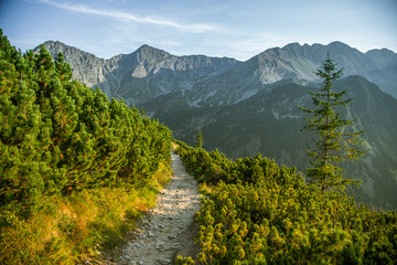 A beautiful hiking trail in the mountains. Mountain landscape in Tatry, Slovakia. Walking path scenery. © dachux21