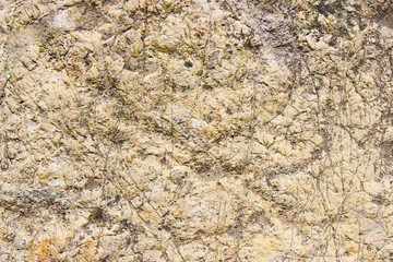 The texture of a flat stone