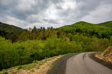 Fototapeta na wymiar Personal perspective of walking on black gravel mountain road in Rhodope mountain in South Bulgaria. POV. Scenery green landscape view from the eyes with dynamic cloudy sky