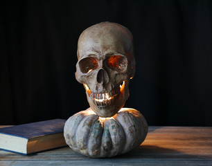 Skull on pumpkin and black background