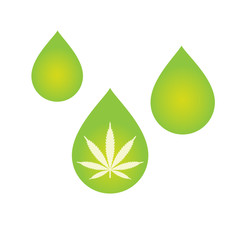 Medical Cannabis oil icon design with Marijuana leaf and hemp oil drop. CBD oil cannabis extract. Icon product label and logo graphic template. Isolated vector illustration on white background.
