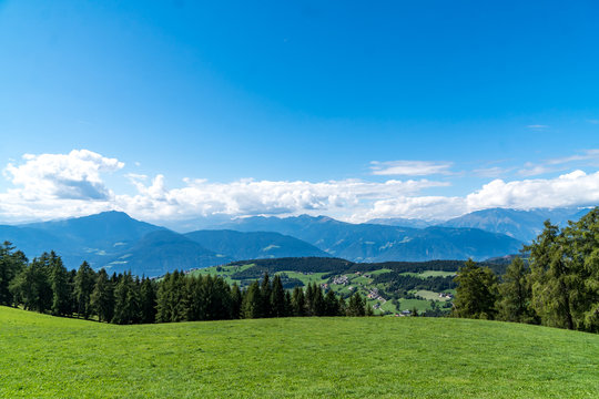 Wiese Wald und Weitblick in die Berge