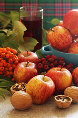 Obraz na płótnie Canvas Apples and berries with autumn mood