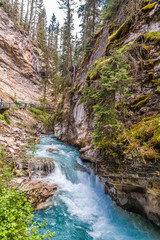 Obraz premium View at the Johnston creek in Johnston Canyon of Banff National Park - Canada