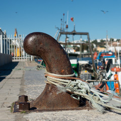 mooring dick on the dock