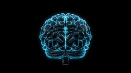 Rotating human brain on a black background. Seamless loop