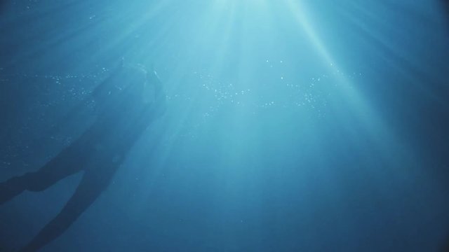 A man daving in the dark water some moonlight falls into the water.