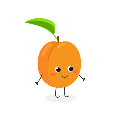Vector illustration of adorable apricot character
