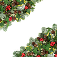 Christmas and winter natural background border with holly berries, snow covered spruce pine, ivy,...