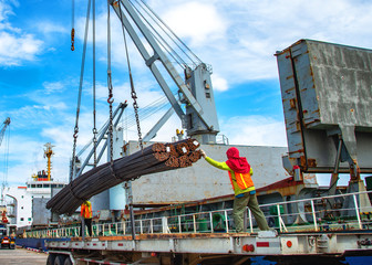 Fototapeta na wymiar bundle of steel coils being loading discharging in port terminal, handle by gang of stevedore labor , shipment cargo in transition from land and sea transport services.
