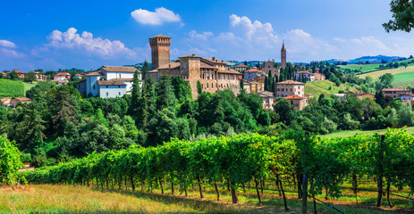 Beautiful traditional medieval Levizzano, with vineyards. Emilia Romagna. Italy