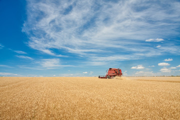 combine harvester in field