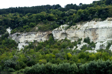 Fototapeta na wymiar rocks are covered with trees near a river