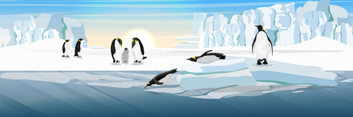 A flock of realistic imperial penguins. Two penguins dive from the ice floe into the water. The glacier and the snow-covered plains and the cold blue sea. Landscapes of the Antarctic.