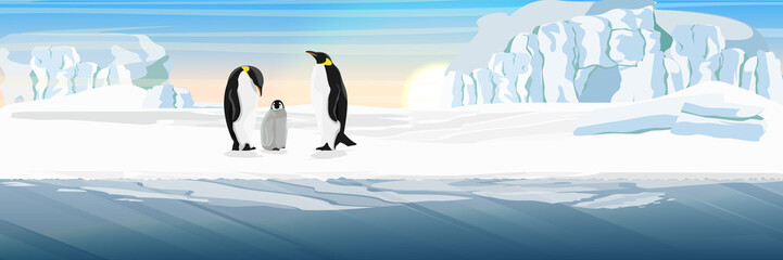 A family of realistic imperial penguins with a chick. The glacier and the snow-covered plain. Cold sea or ocean. Landscapes of the Antarctic.