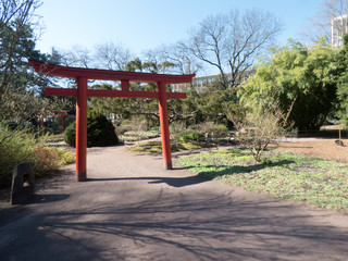 Roter Torbogen in asiatischer Form in front eines Parkes