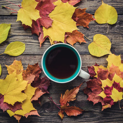 Square picture with autumn colorful leaves and a cup of tea