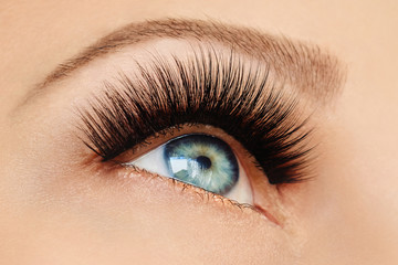 Female eye with extreme long false eyelashes and black liner. Eyelash extensions, make-up, cosmetics, beauty