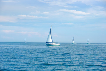 Fototapeta premium Sailboats in the sea