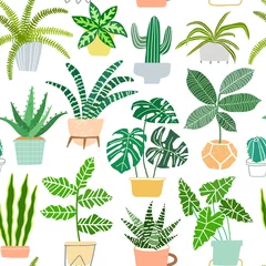 Wallpaper murals Plants in pots House plants in pots vector seamless pattern. Houseplant background