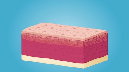 losing moisturizer . dry skin graphic animation