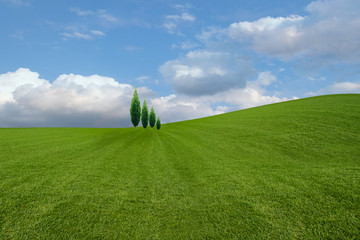 Green grass and blue sky with white clouds