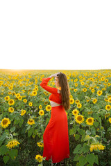 Fototapeta na wymiar Beauty joyful girl in sunflower field