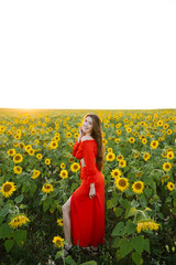 Beauty joyful girl in sunflower field