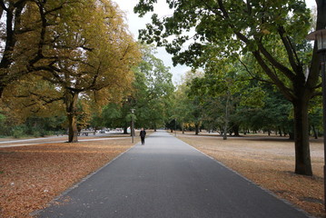 Beautiful ground in park in Belin travelling with kids and whole familiy to vacation autumn