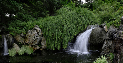 Naklejka premium waterfall in garden,summer