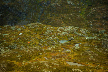 A beautiful autumn landscape in Folgefonna National Park in Norway during a hike in windy, rainy weather. Mountains in Scandinavia. Autumn scenery in wilderness.