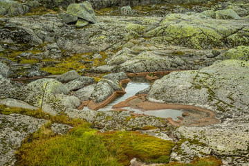 Naklejka na ściany i meble A beautiful autumn landscape in Folgefonna National Park in Norway during a hike in windy, rainy weather. Mountains in Scandinavia. Autumn scenery in wilderness.