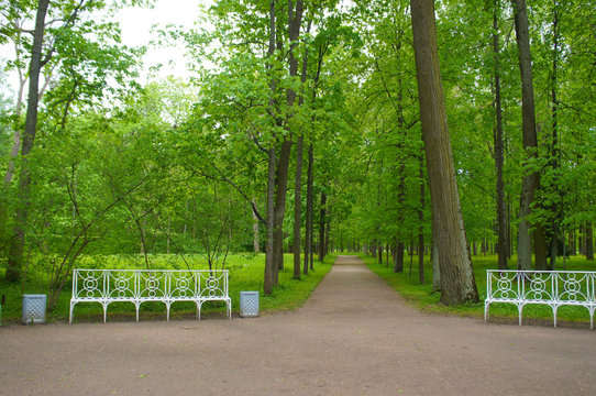 Landscape of Catherine Park of Tsarskoye Selo, Pushkin,  Saint Petersburg, Russia