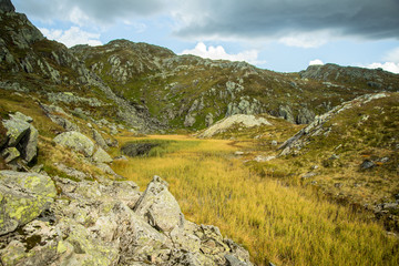 A beautiful autumn landscape in Folgefonna National Park in Norway during a hike in windy, rainy weather. Mountains in Scandinavia. Autumn scenery in wilderness.