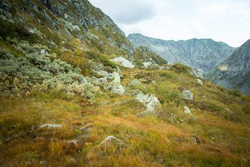 Fototapeta na wymiar A beautiful autumn landscape in Folgefonna National Park in Norway during a hike in windy, rainy weather. Mountains in Scandinavia. Autumn scenery in wilderness.