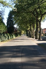 summer in Bremen avenue street without traffic beautiful view
