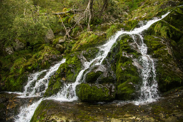 A beautiful mountain river rapids in mountains of Folgefonna National park in Norway. Autumn landscape of a river rapids.