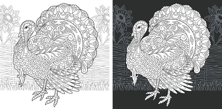 Turkey. Thanksgiving Day bird symbol. Coloring Page. Coloring Book.