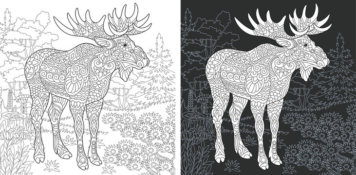 Moose. Deer. Coloring Page. Coloring Book.