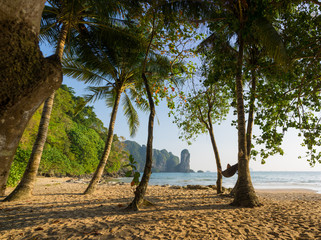 tropical beach with coconut palm