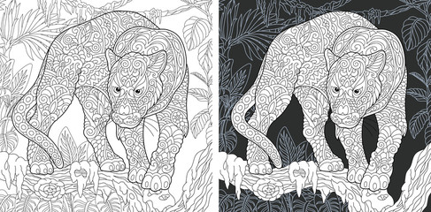 Naklejka premium Black panther. Coloring Page. Coloring Book.