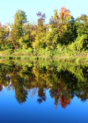 Trees reflecting in Water in Early Fall