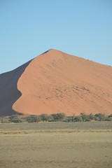 Fototapeta na wymiar Dune, Namibie