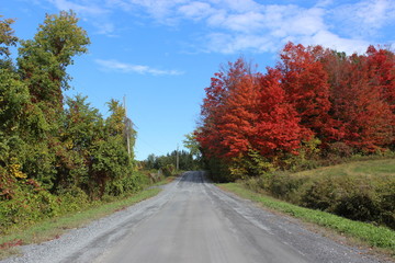 Country Road in Fall