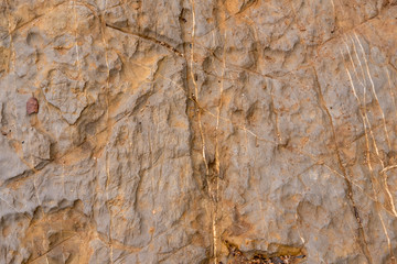 surface of the marble with brown tint