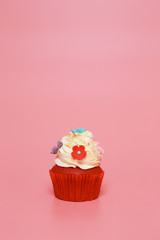 Birthday Cake On Color For Background
