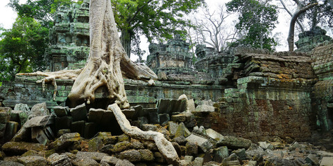 Fototapeta na wymiar Trees and roots growing in the middle of wall and temple in Angkor wat ,archaeologic park ,Cambodia