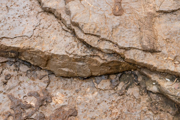 surface of the marble with brown tint