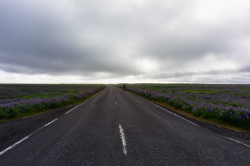 Glück kommt von Erfolg